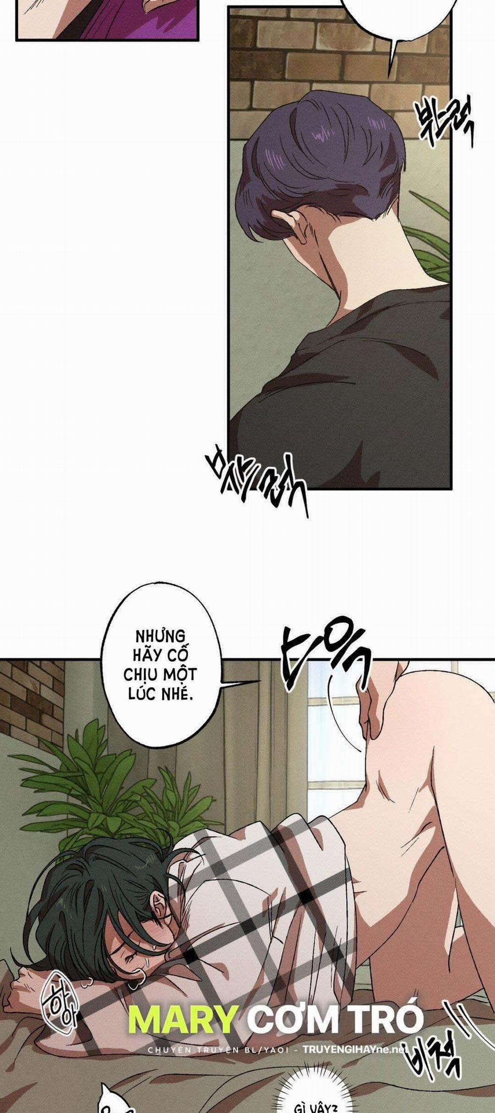 Bẫy Kép 37.1 trang 6