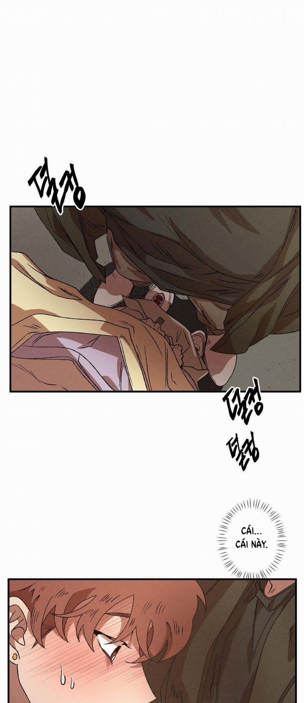 Bẫy Kép 38.1 trang 2