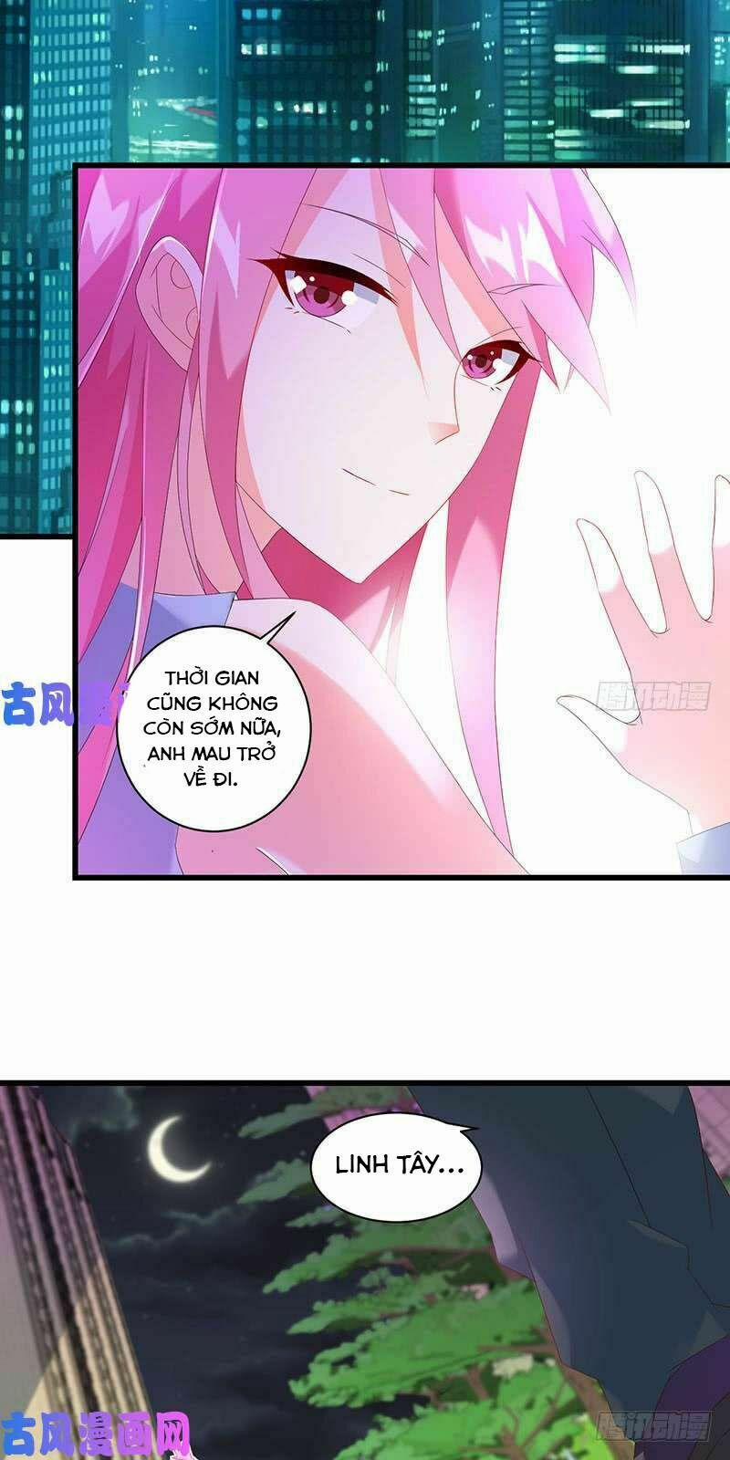 Bảy Ngày Thực Cốt Hôn Ước 40 trang 14