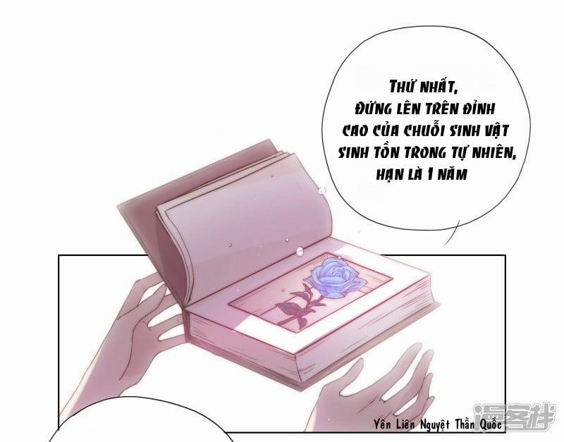 Bẫy Rập Hoa Hồng 0 trang 11