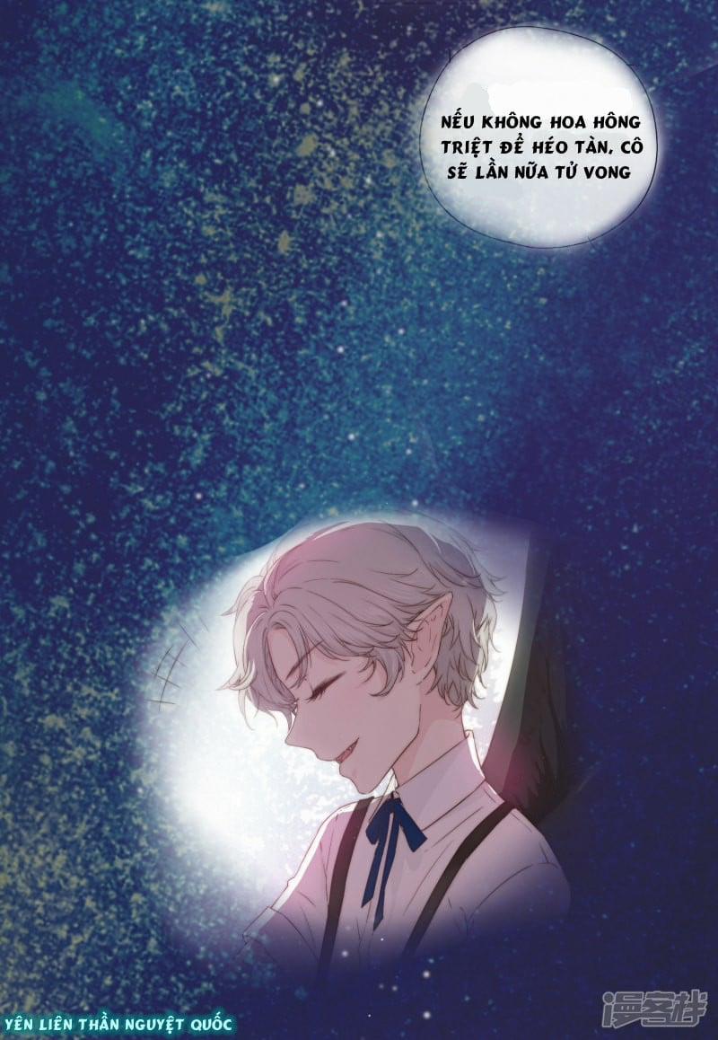 Bẫy Rập Hoa Hồng 3 trang 3