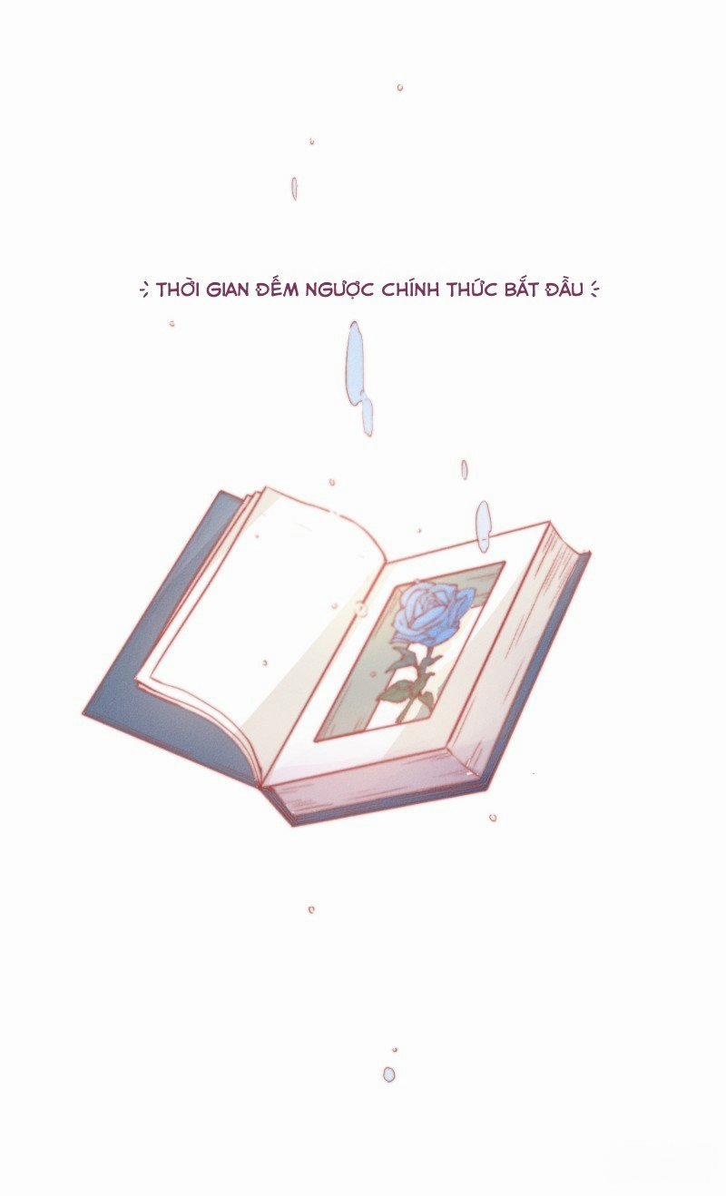 Bẫy Rập Hoa Hồng 4 trang 35