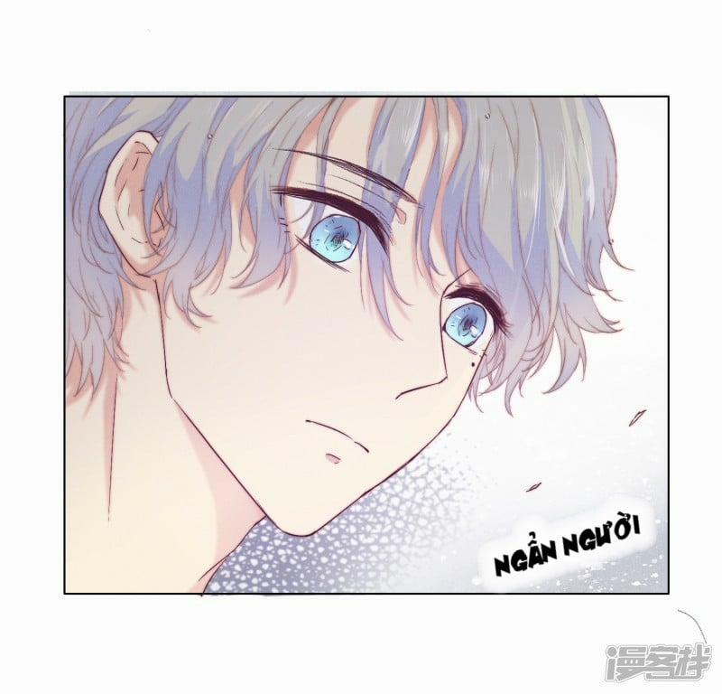 Bẫy Rập Hoa Hồng 4 trang 4