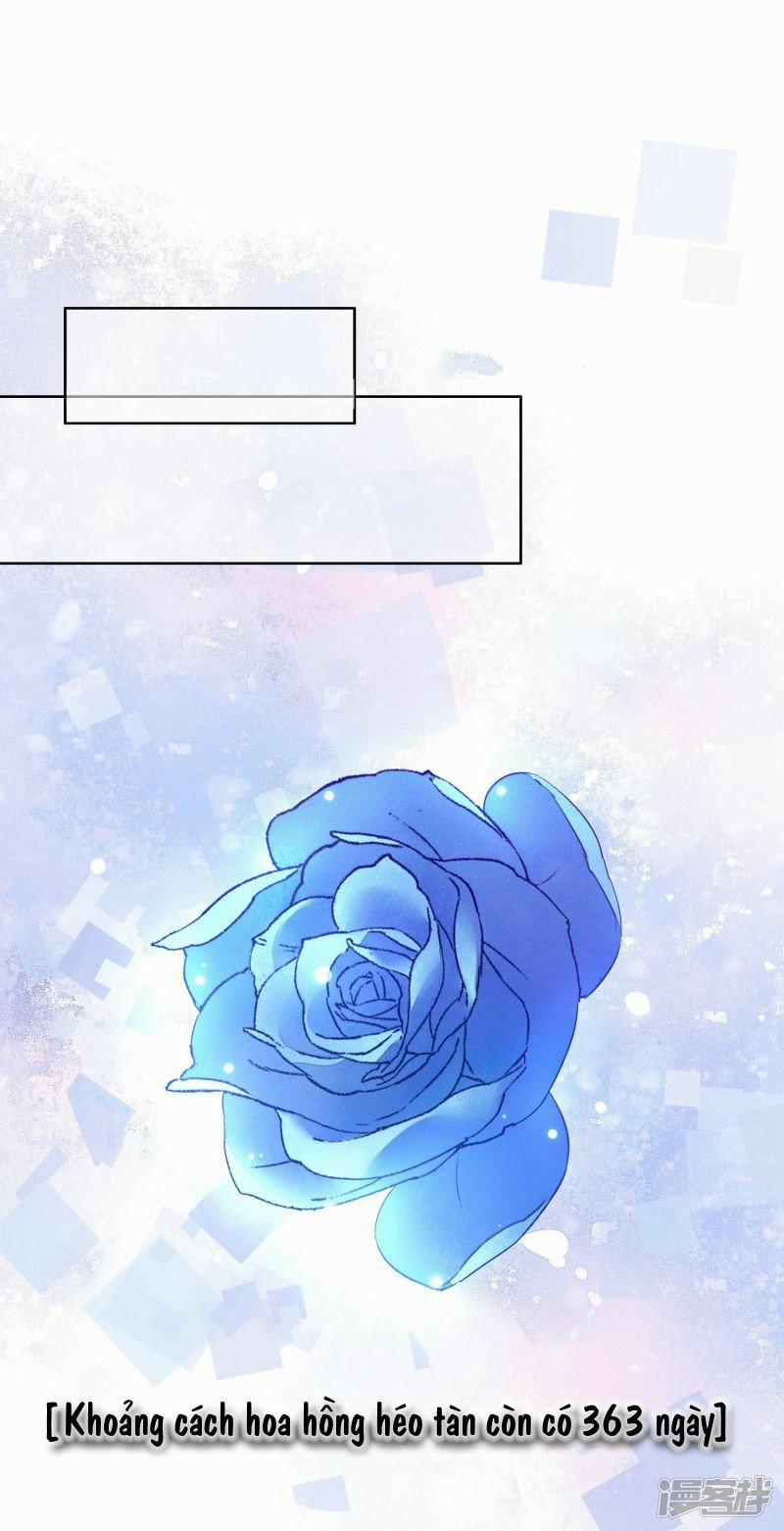Bẫy Rập Hoa Hồng 8 trang 35