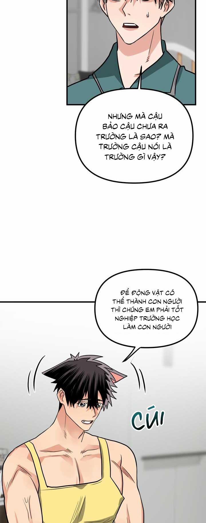 Bé Chồng Là Cún Con Của Tôi 2 trang 11