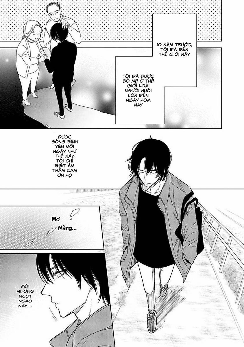 Bé Cưng Chưa Trường Thành 1 trang 14