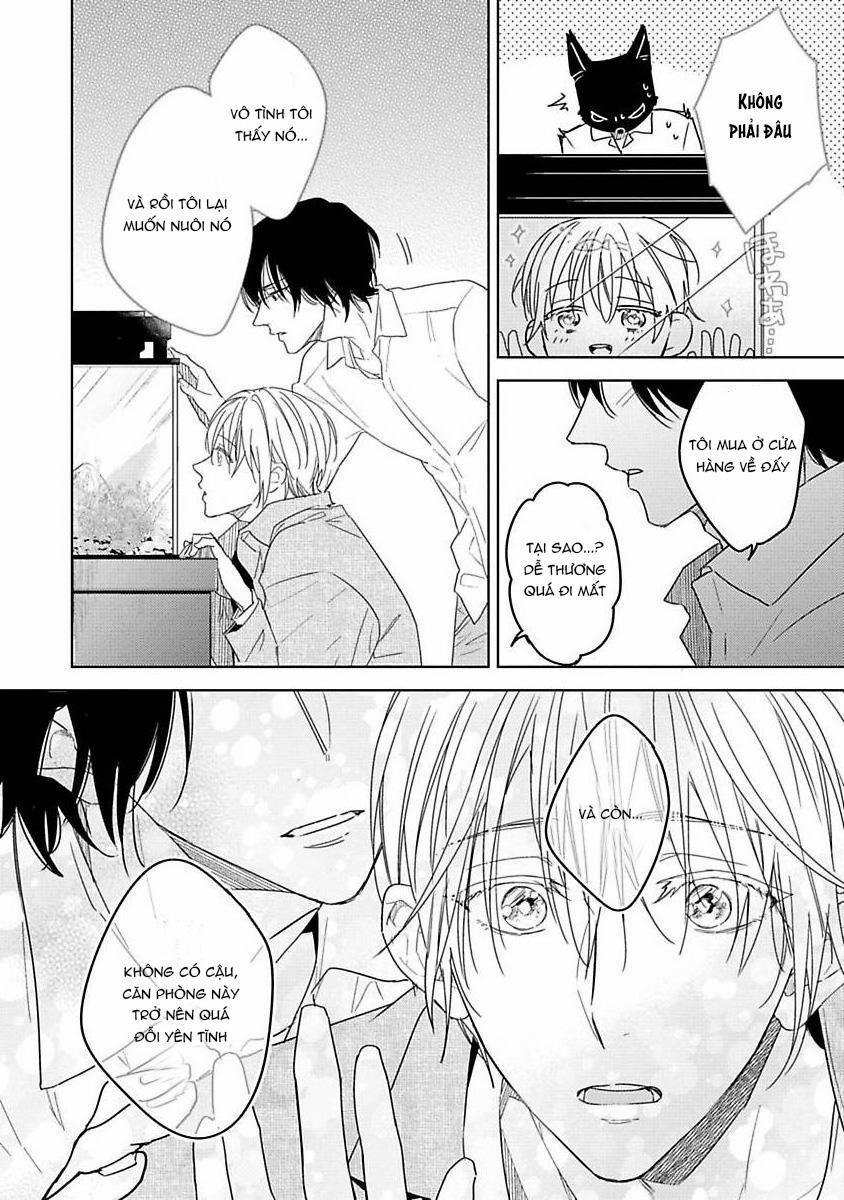 Bé Cưng Chưa Trường Thành 3 trang 33