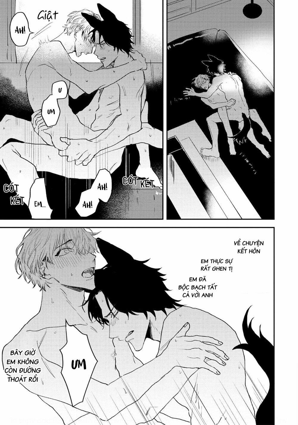 BÉ ĐÁNG YÊU CỦA CHÀNG SÓI 4 trang 25