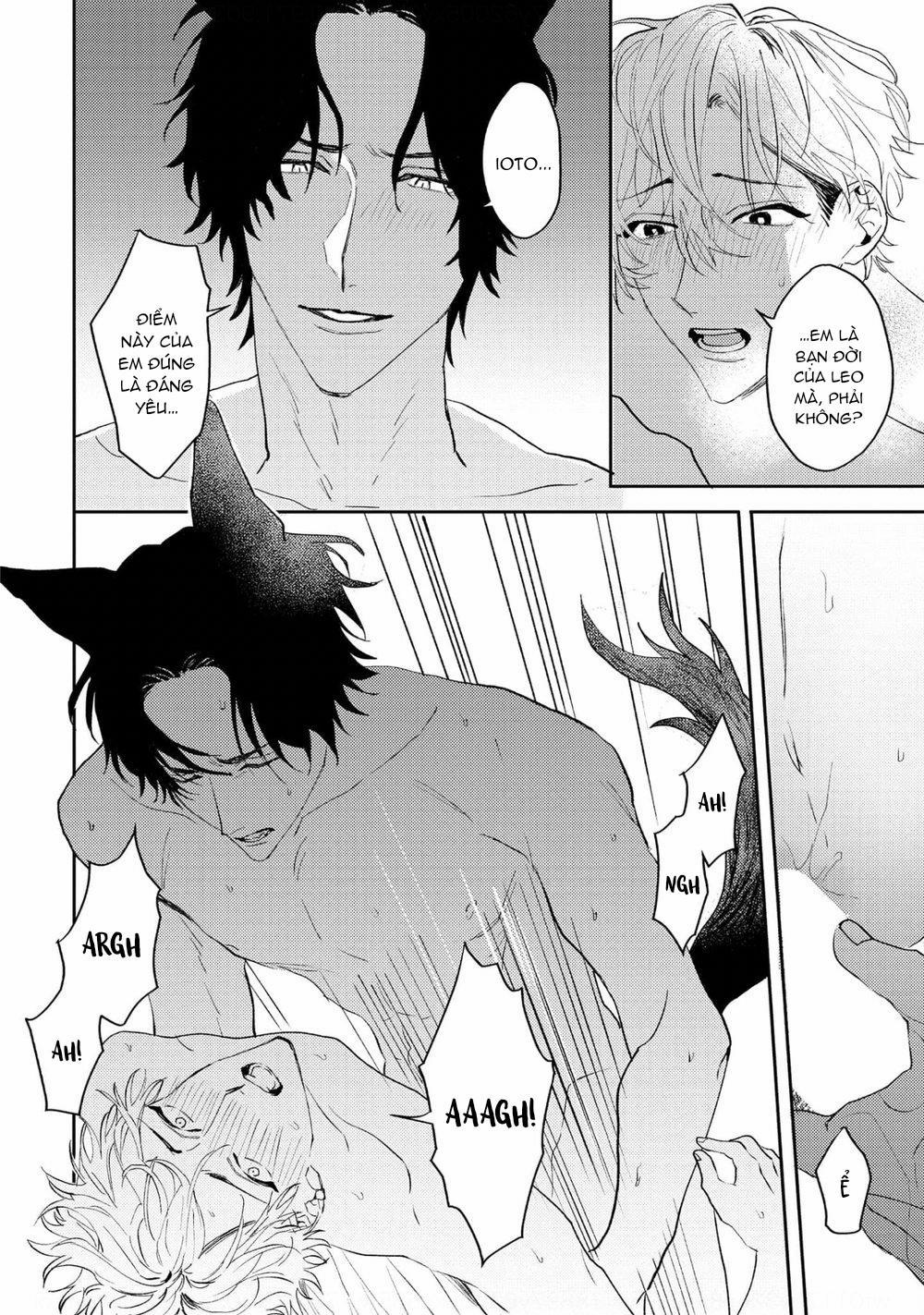 BÉ ĐÁNG YÊU CỦA CHÀNG SÓI 5 trang 19