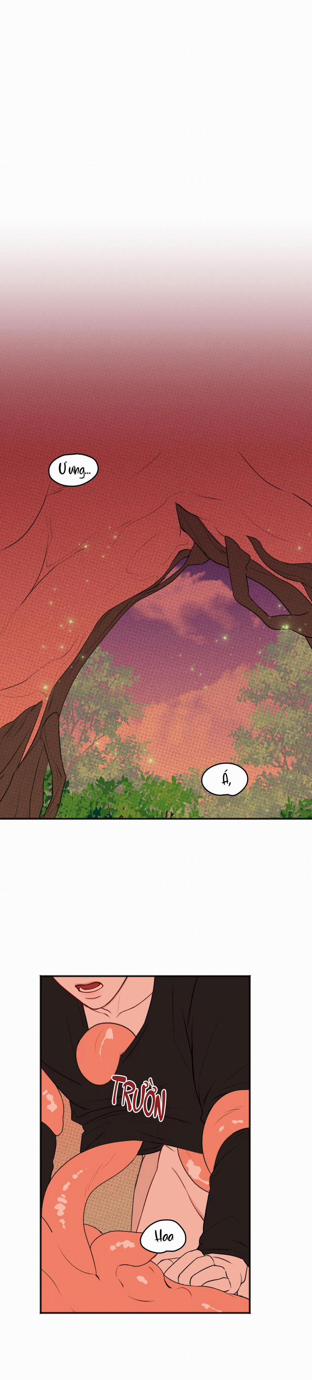 Bé Xúc Tu 17 18 0 (xúc tu) trang 13