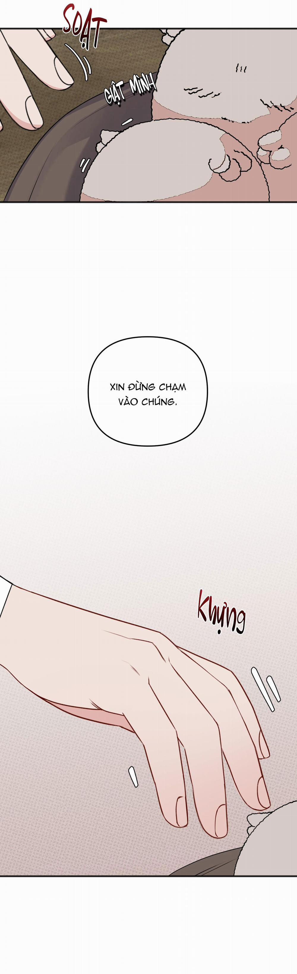 Bé Xúc Tu 20 trang 8