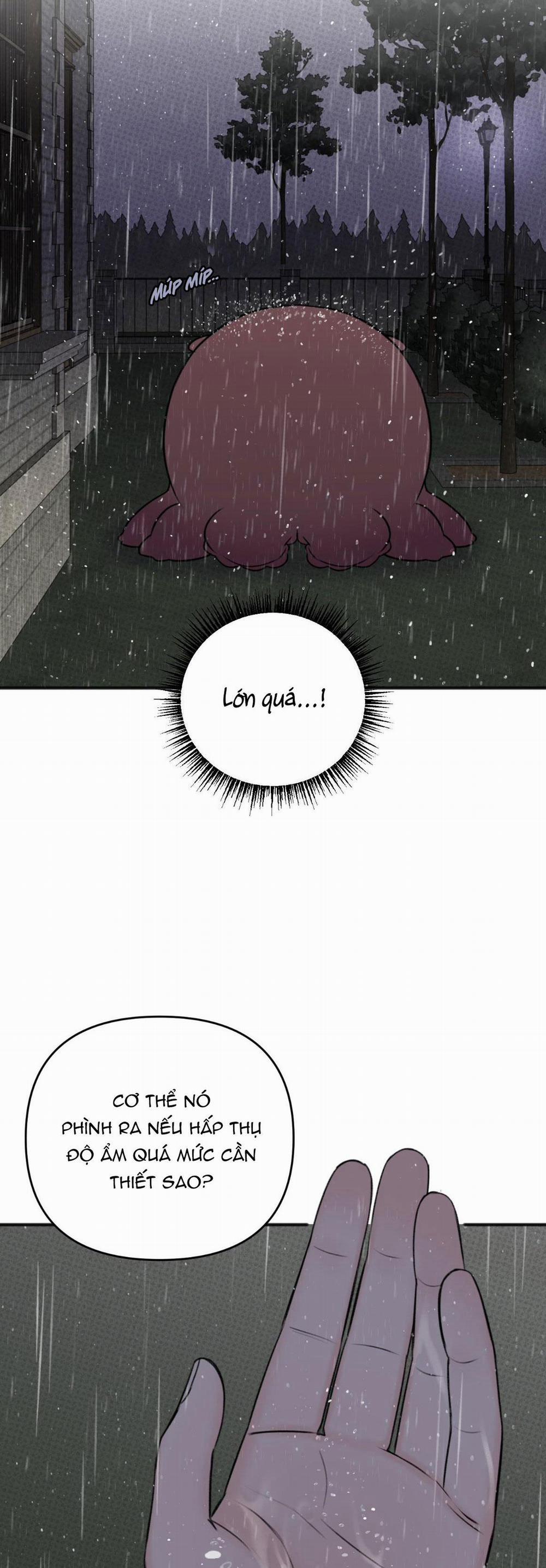 Bé Xúc Tu 5 trang 26