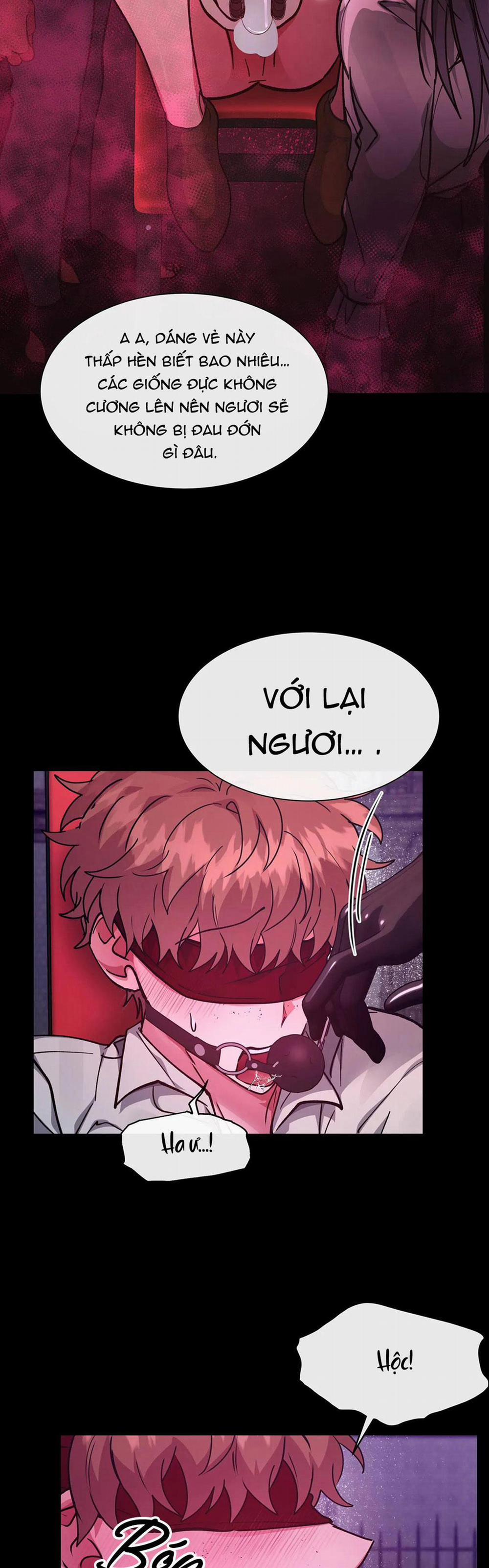 Bên Trong Lâu Đài 23 H+ trang 16