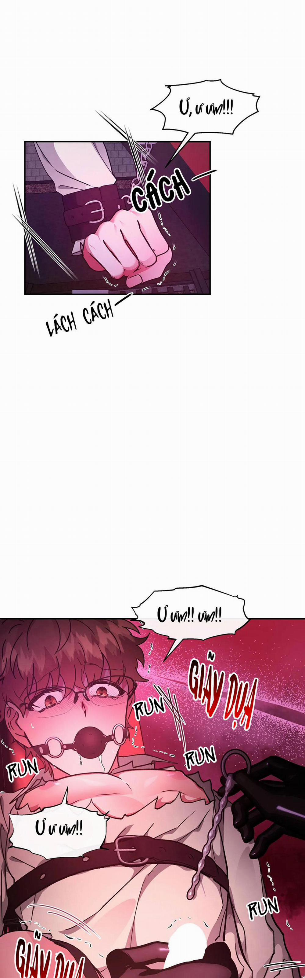 Bên Trong Lâu Đài 23 H+ trang 3