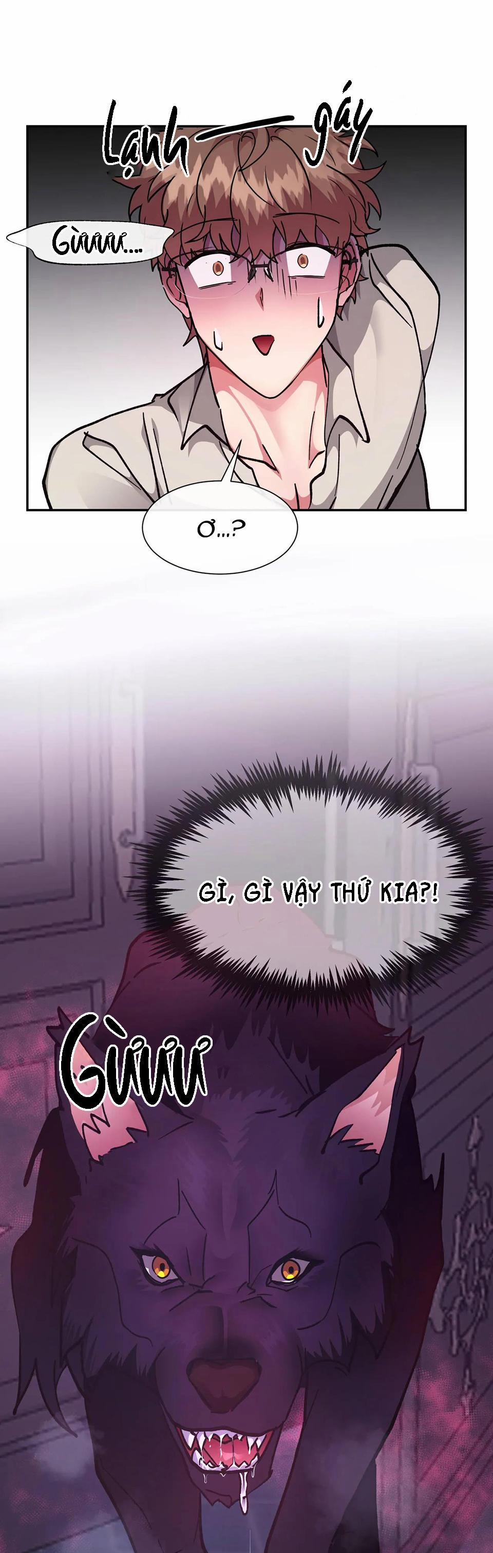 Bên Trong Lâu Đài 26 H+ trang 2