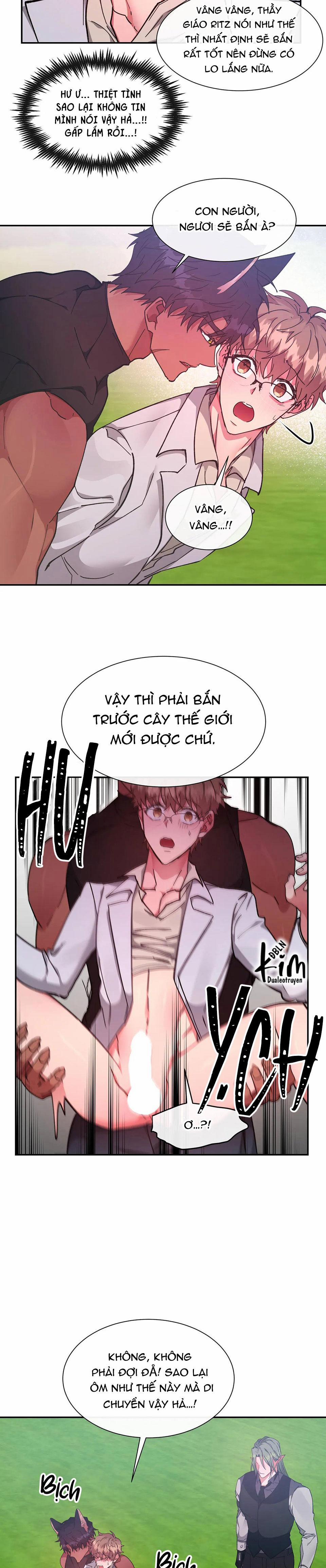 Bên Trong Lâu Đài 29 trang 11