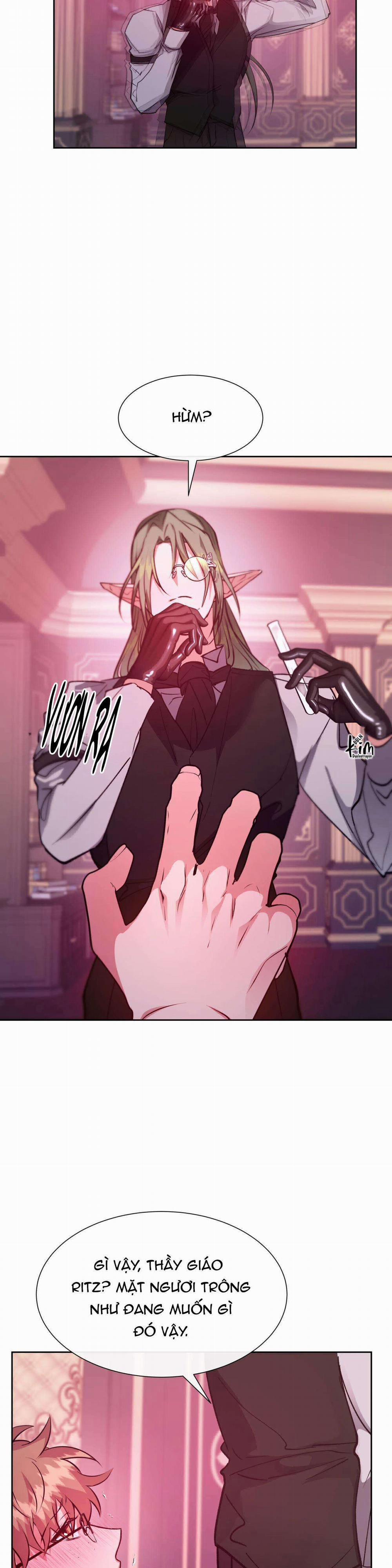 Bên Trong Lâu Đài 39 trang 28