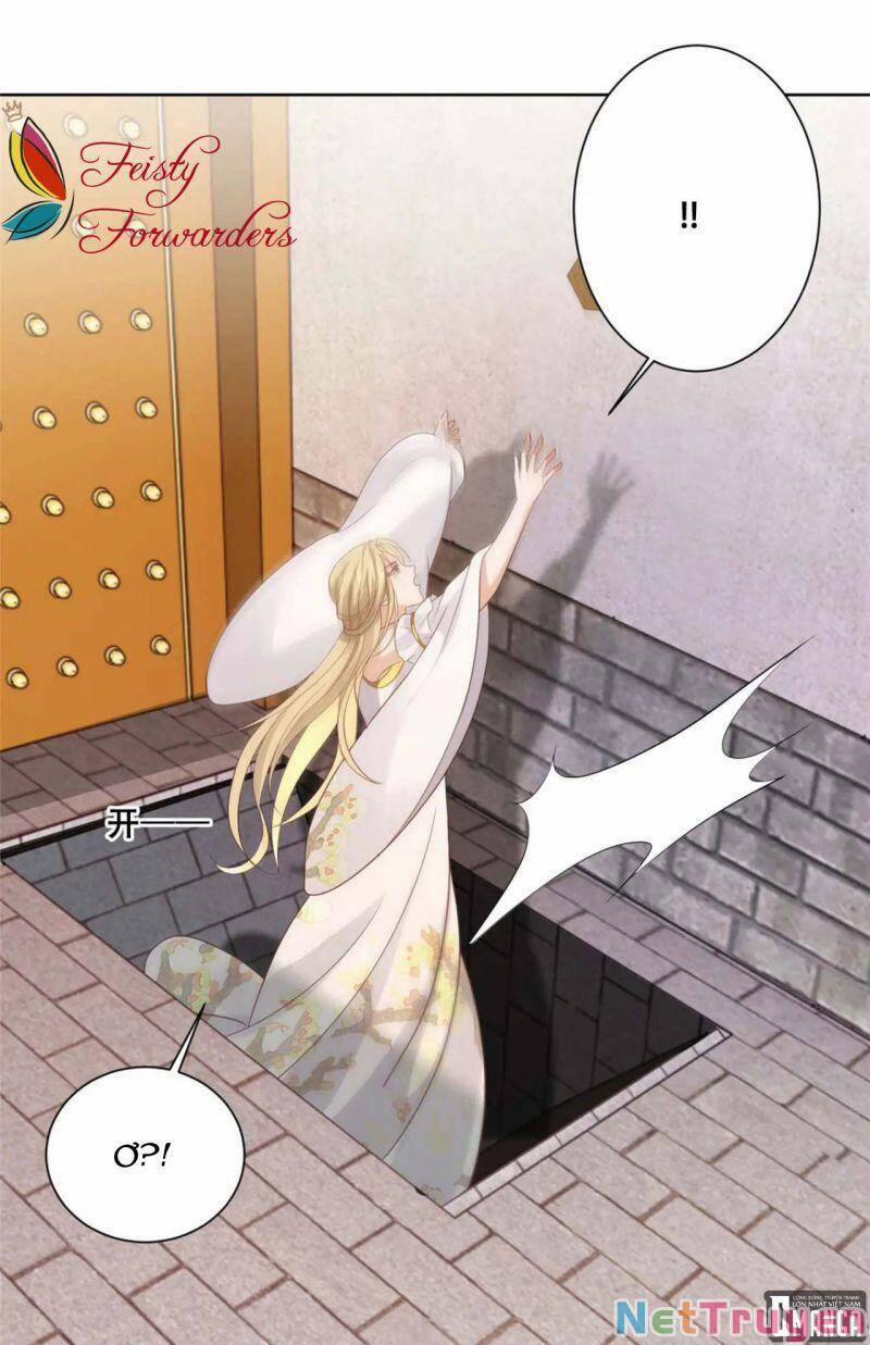 Bệnh Kiều Vương Gia Dựa Vào Ta Để Tiếp Tục Sống 69 trang 6