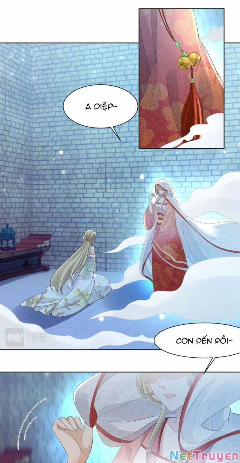 Bệnh Kiều Vương Gia Dựa Vào Ta Để Tiếp Tục Sống 69 trang 8