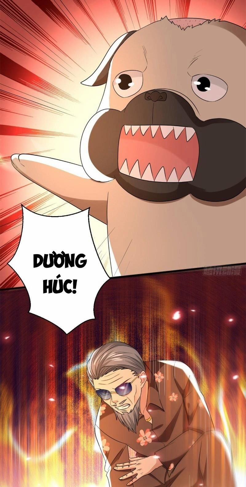 Bị Ép Trở Thành Người Mạnh Nhất Thế Giới 28 trang 4