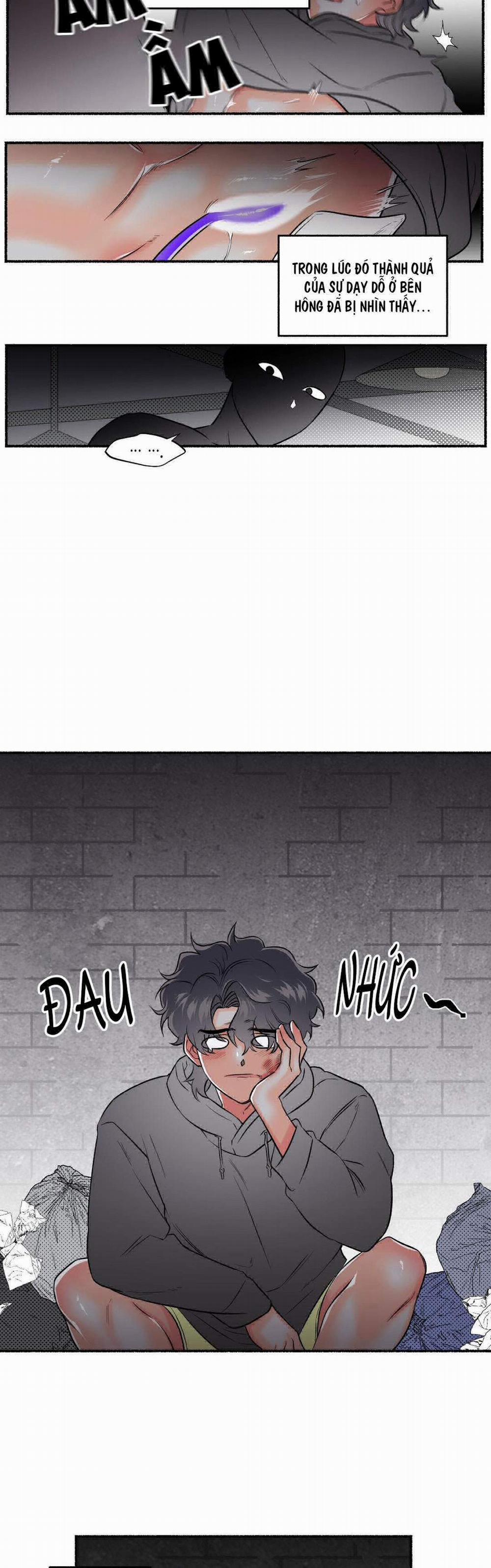 Bí Mật Adam 4 trang 17