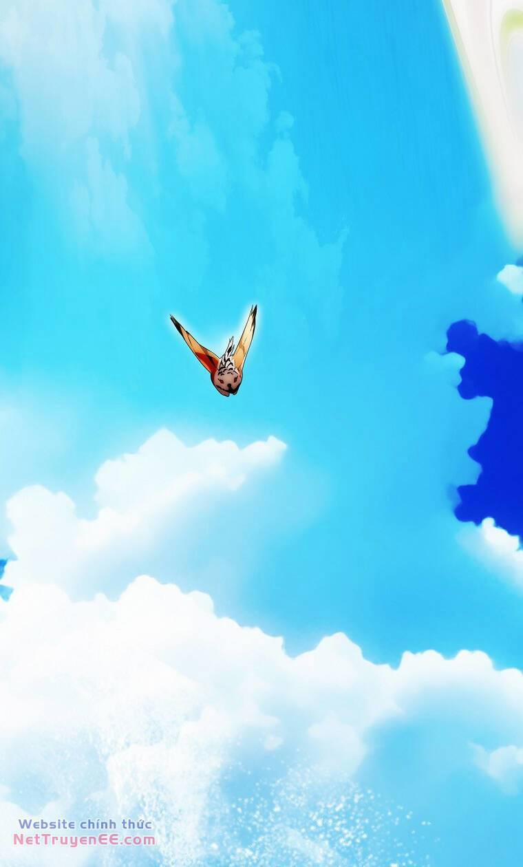 Bí Mật Của Quý Cô 94.1 trang 11