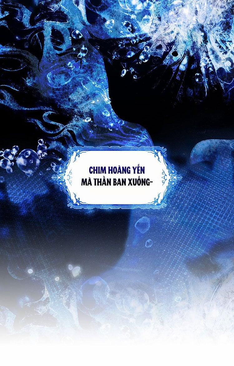 Bí Mật Của Quý Cô 96.2 trang 17