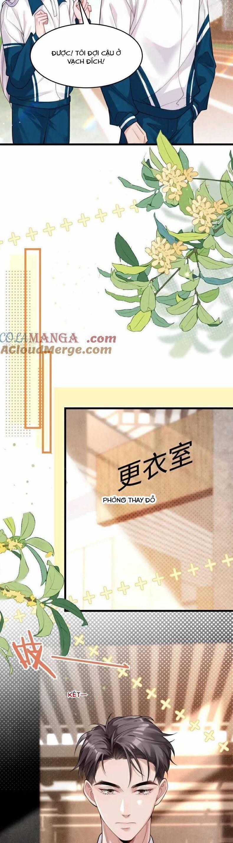 Bí Mật Nhỏ Của Chú Ngỗng Trắng 12 trang 7