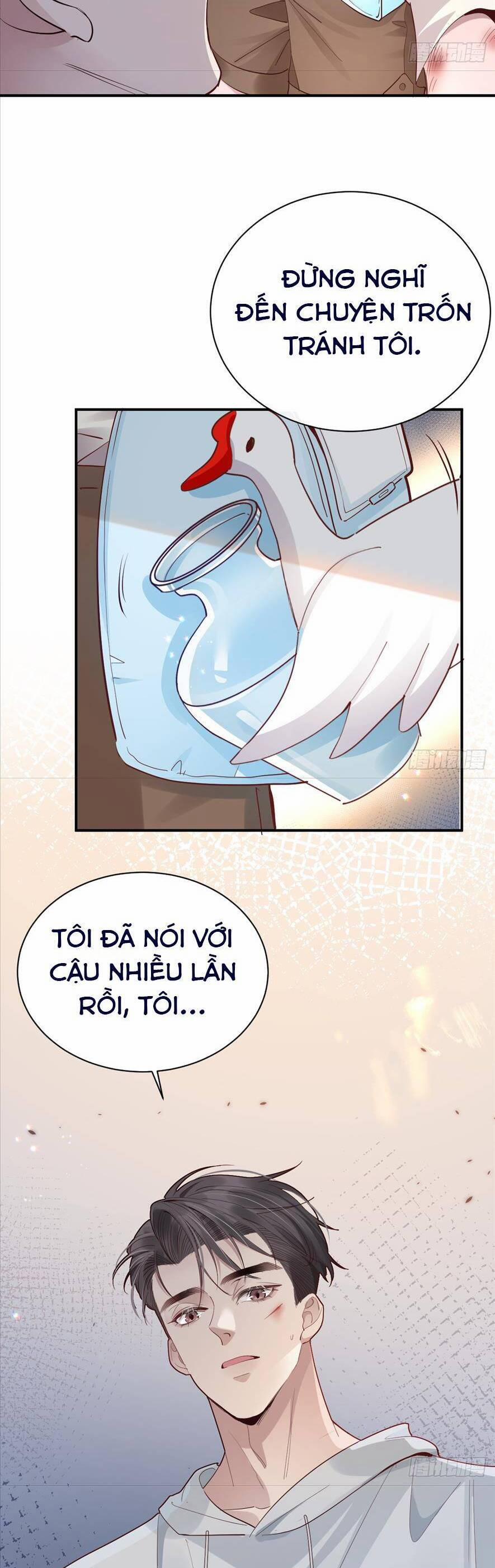 Bí Mật Nhỏ Của Chú Ngỗng Trắng 3 trang 3