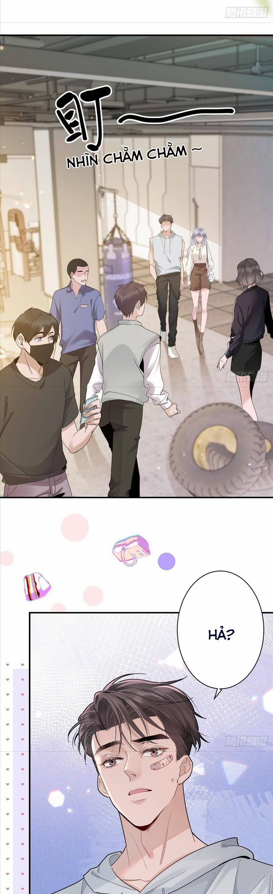 Bí Mật Nhỏ Của Chú Ngỗng Trắng 4 trang 19