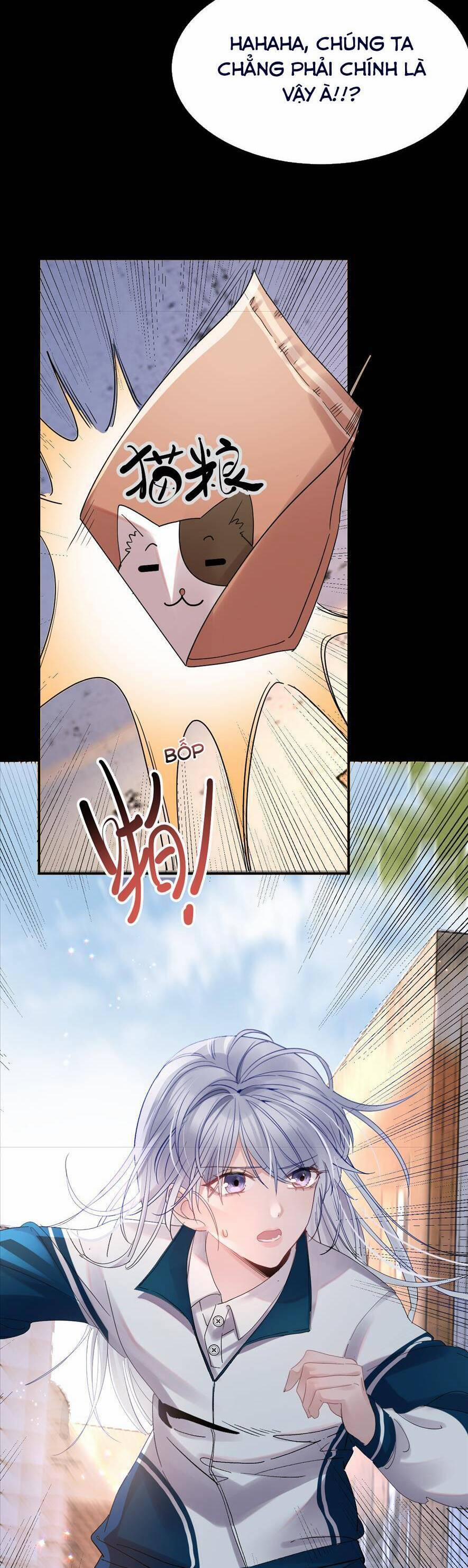 Bí Mật Nhỏ Của Chú Ngỗng Trắng 6 trang 20