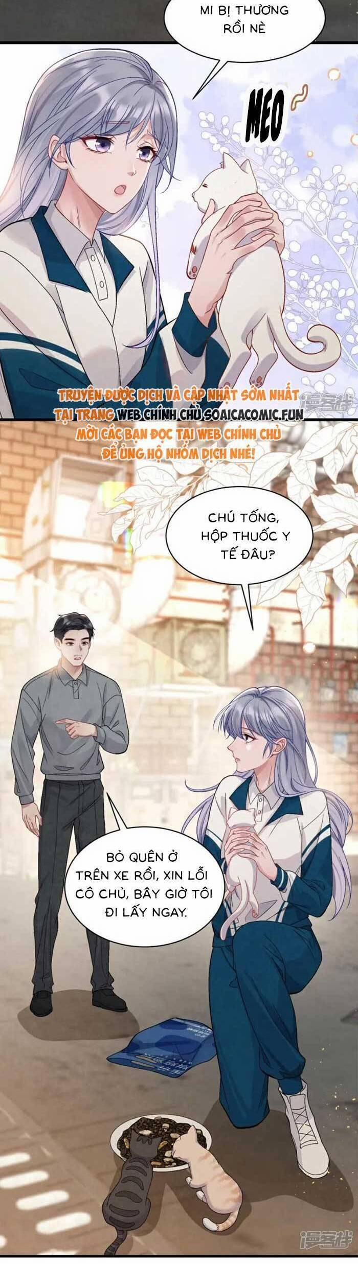 Bí Mật Nhỏ Của Ngỗng Trắng 12 trang 33
