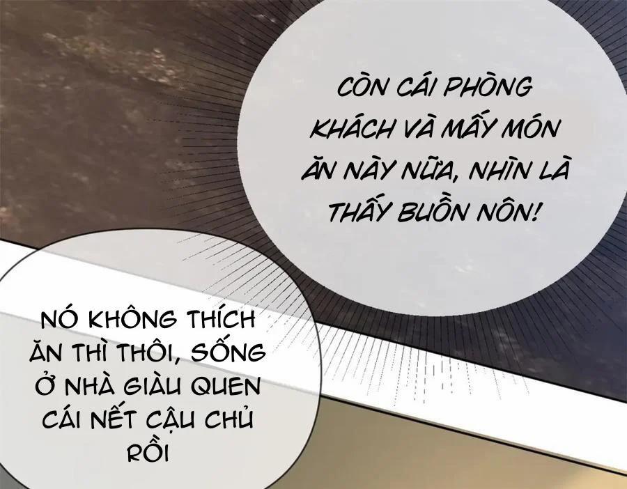 Bị Vạn Người Anti, Sống Lại Tôi Hot Khắp Internet 104 trang 40