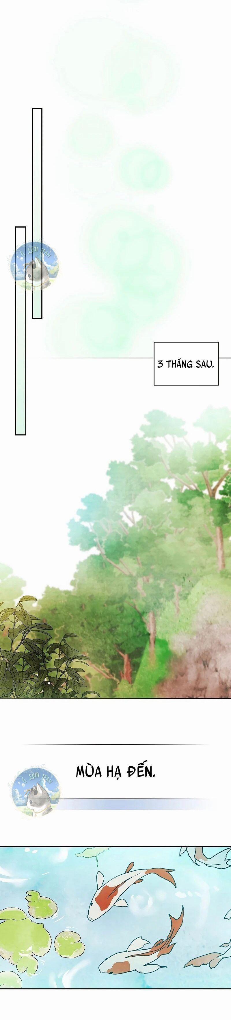 Biên Niên Sử Về Sự Trở Lại Của Võ Thần 13 trang 2