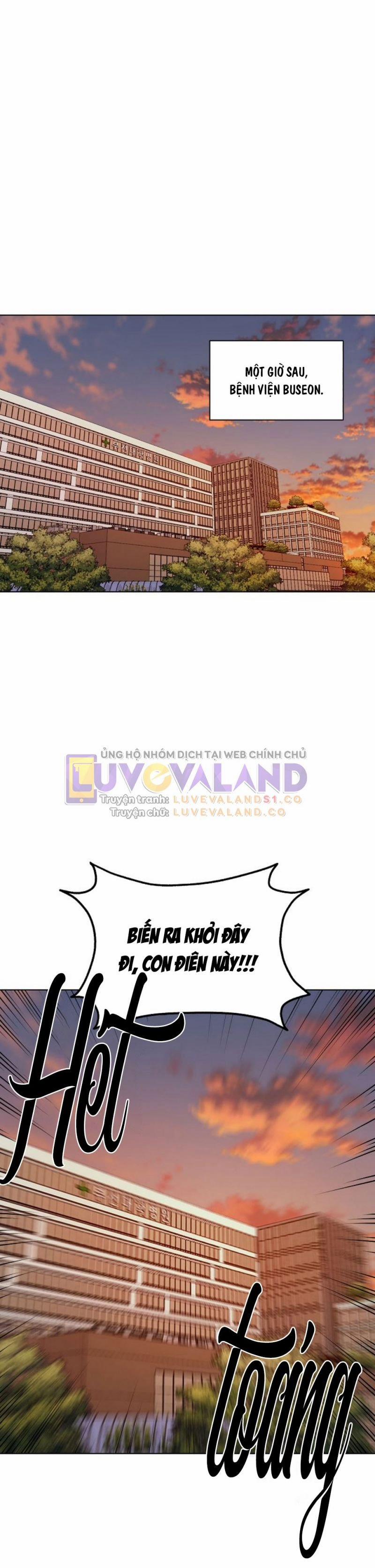 Bình Minh 41 trang 16