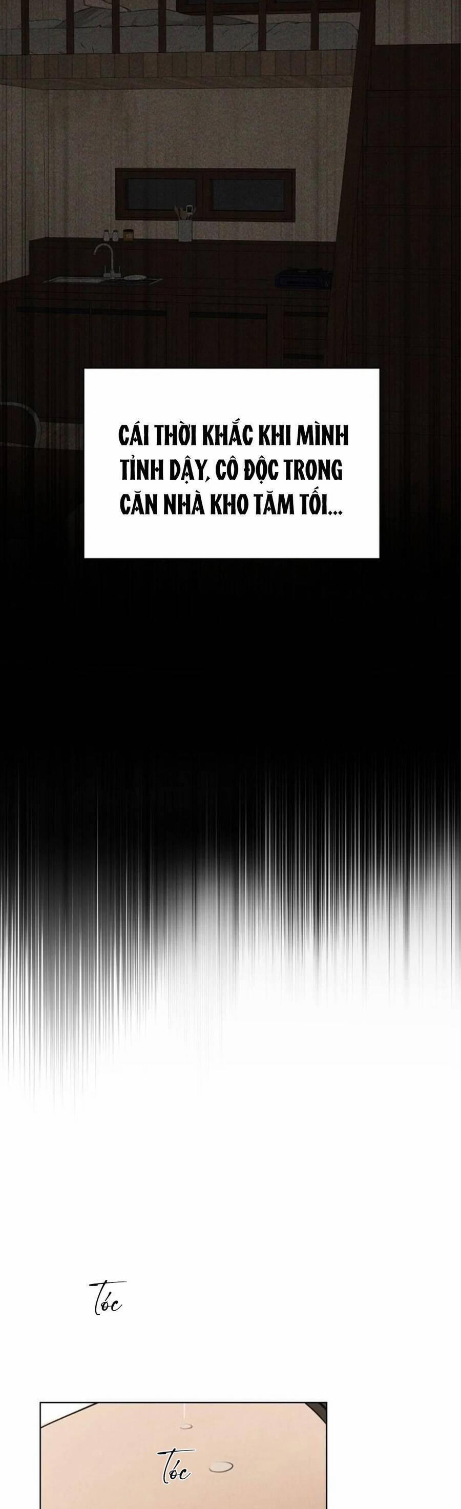 Bình Minh 51 trang 19