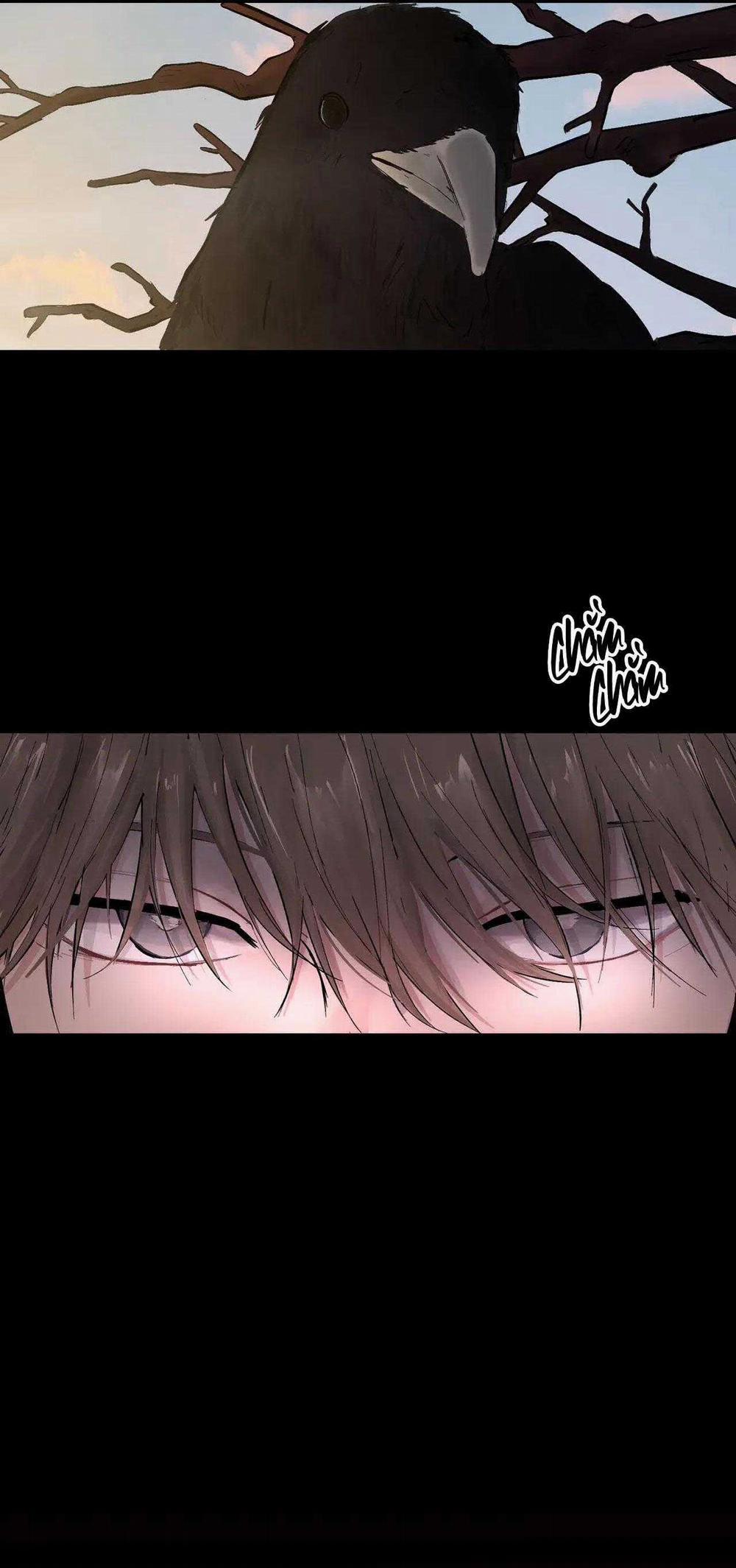 BL Cổ Trang - Âu Cổ Ngắn Nhà Kim 38.7 trang 53