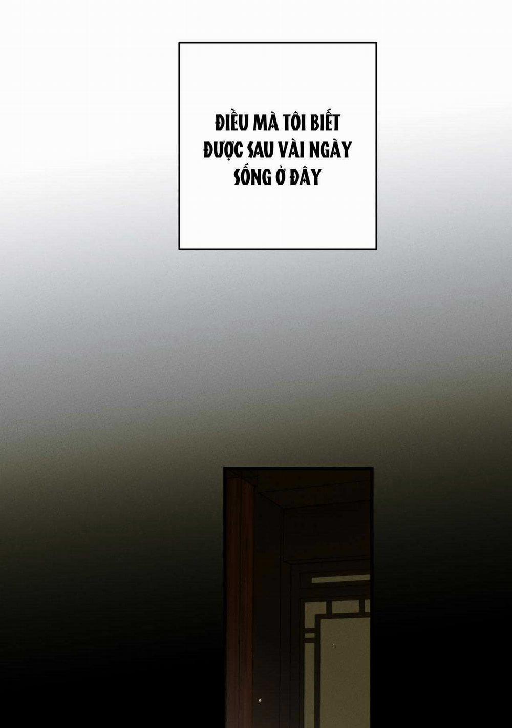 BL Cổ Trang - Âu Cổ Ngắn Nhà Kim 39.4 trang 18