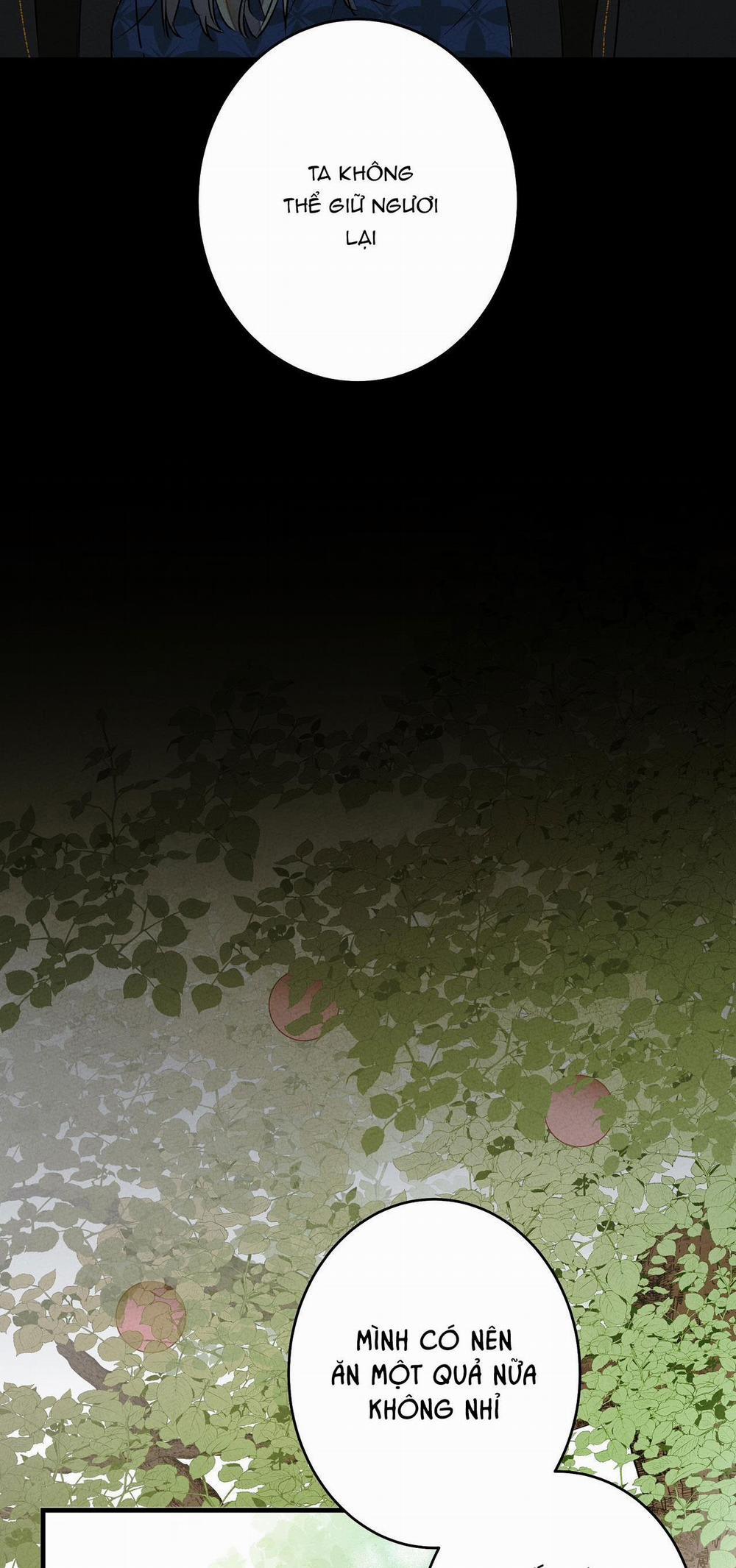 BL Cổ Trang - Âu Cổ Ngắn Nhà Kim 39.8 luân hồi end trang 32