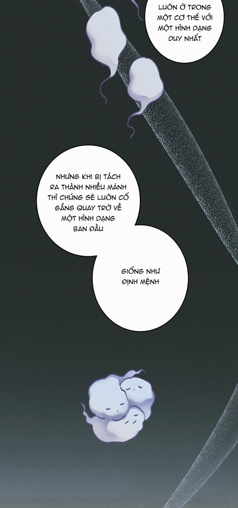 BL Cổ Trang - Âu Cổ Ngắn Nhà Kim 39.8 luân hồi end trang 54