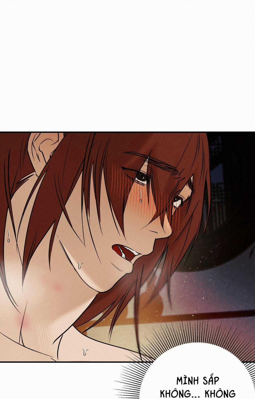 BL Cổ Trang - Âu Cổ Ngắn Nhà Kim 40.7 trang 14