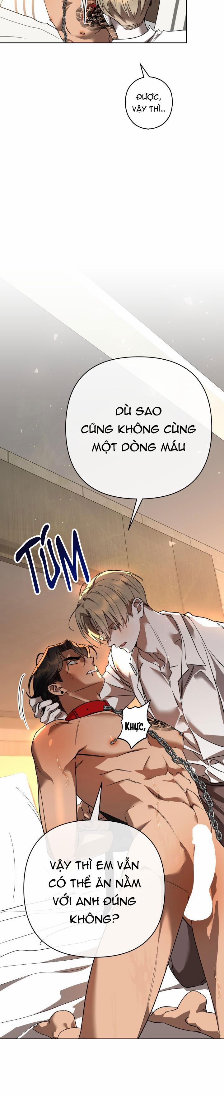 Bl Ngắn Loạn Luân - Gia Đình 1.3 ANH EM RƠI 3 trang 20