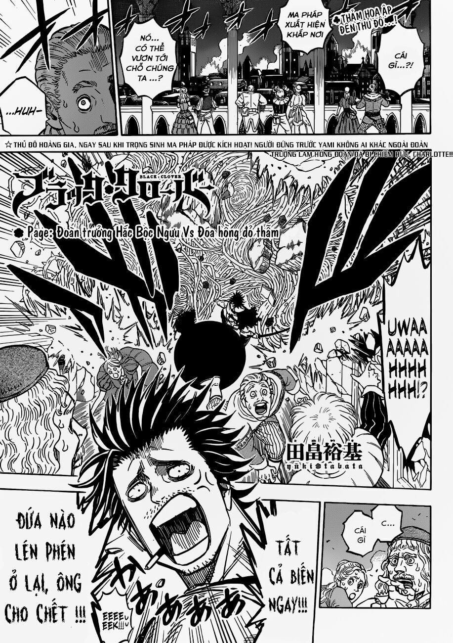 Black Clover – Pháp Sư Không Phép Thuật 169 trang 1