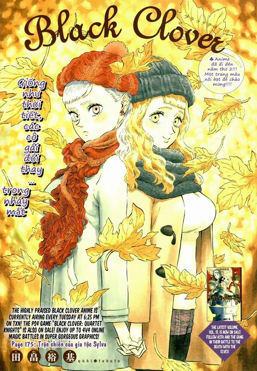 Black Clover – Pháp Sư Không Phép Thuật 175 trang 1
