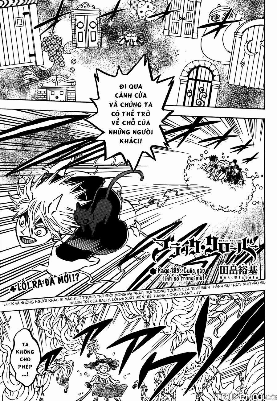 Black Clover – Pháp Sư Không Phép Thuật 185 trang 1
