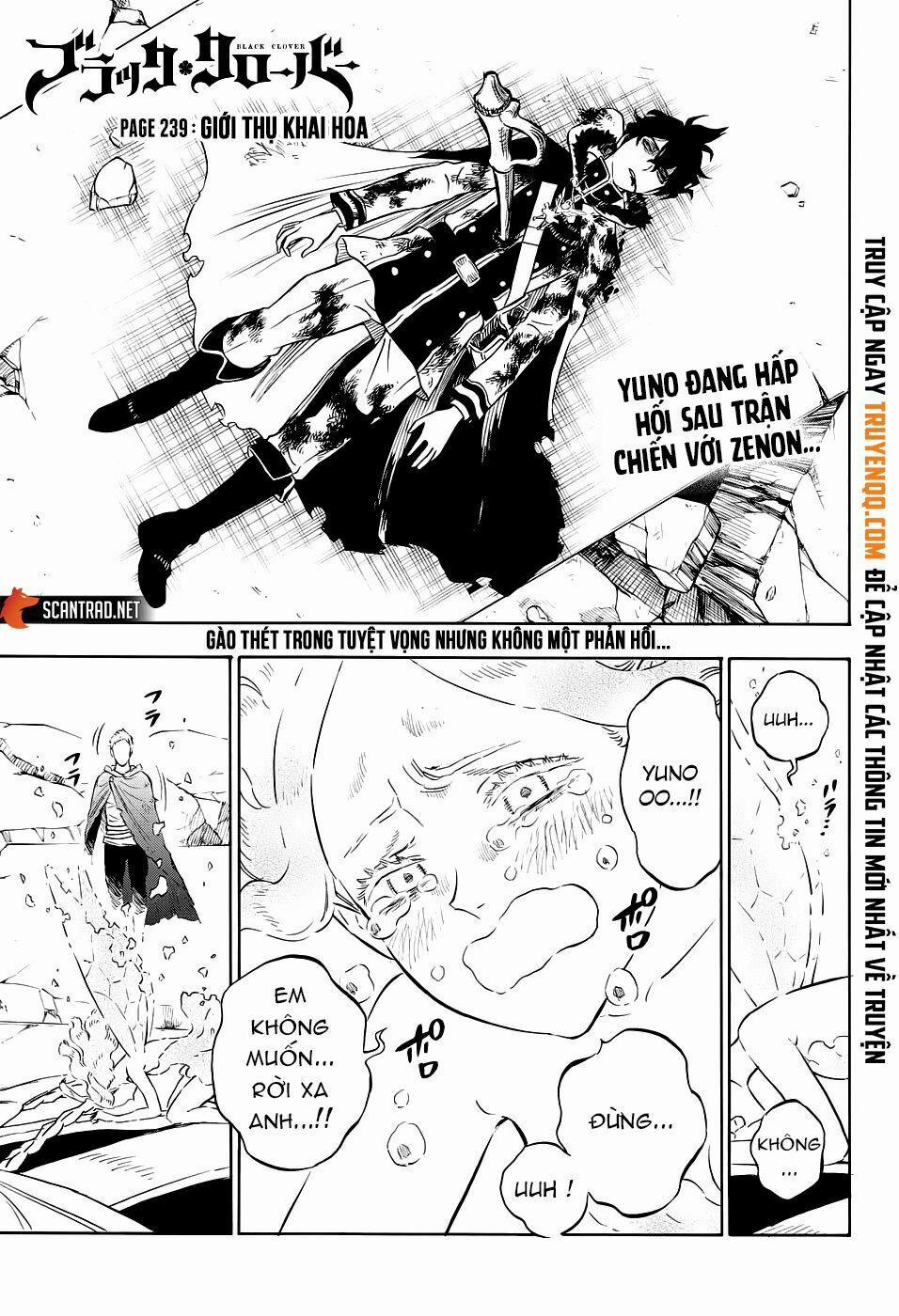 Black Clover – Pháp Sư Không Phép Thuật 239 trang 1