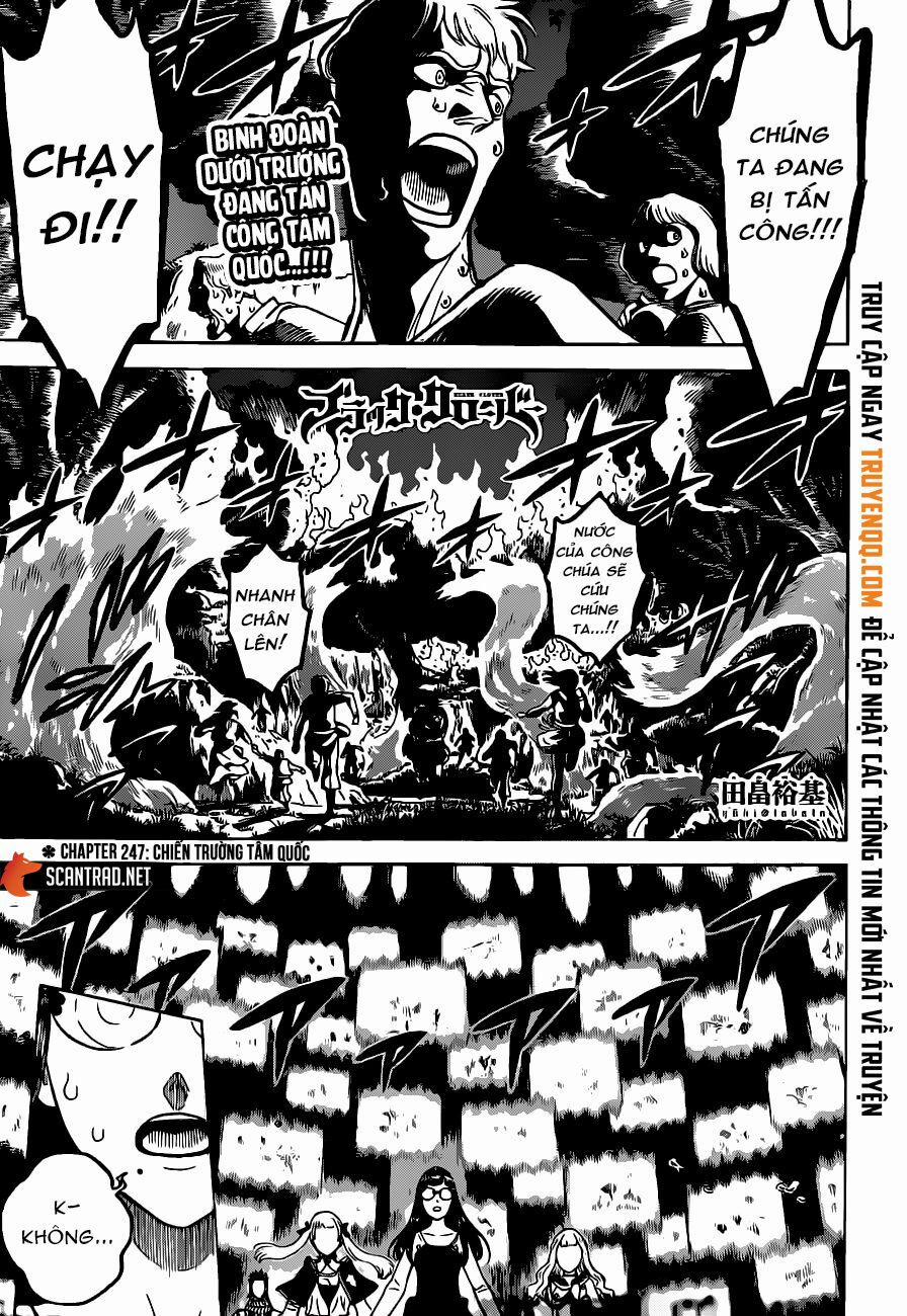 Black Clover – Pháp Sư Không Phép Thuật 247 trang 1