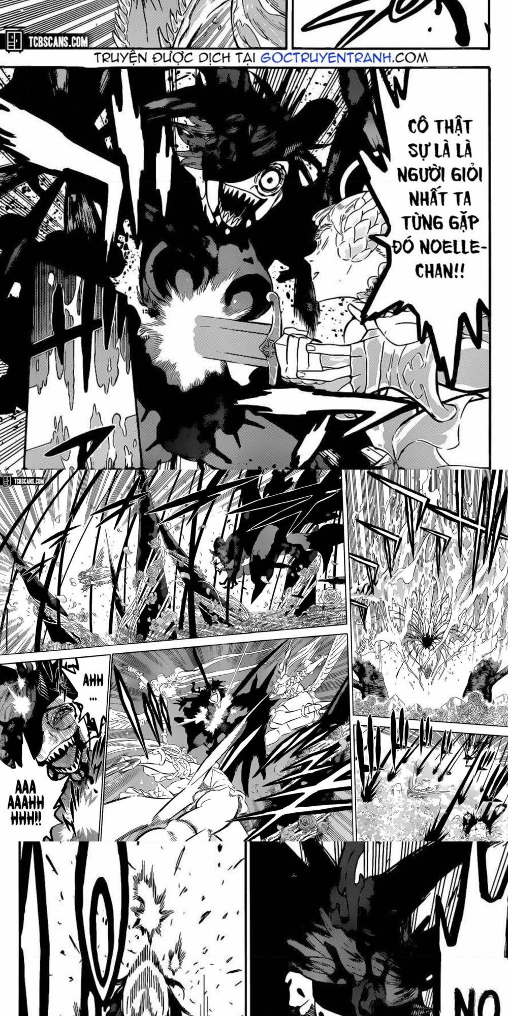 Black Clover – Pháp Sư Không Phép Thuật 297 trang 1