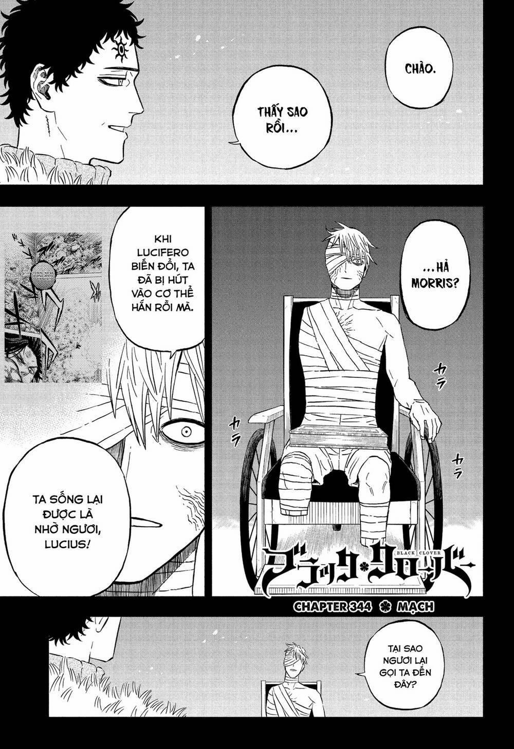 Black Clover – Pháp Sư Không Phép Thuật 344 trang 1