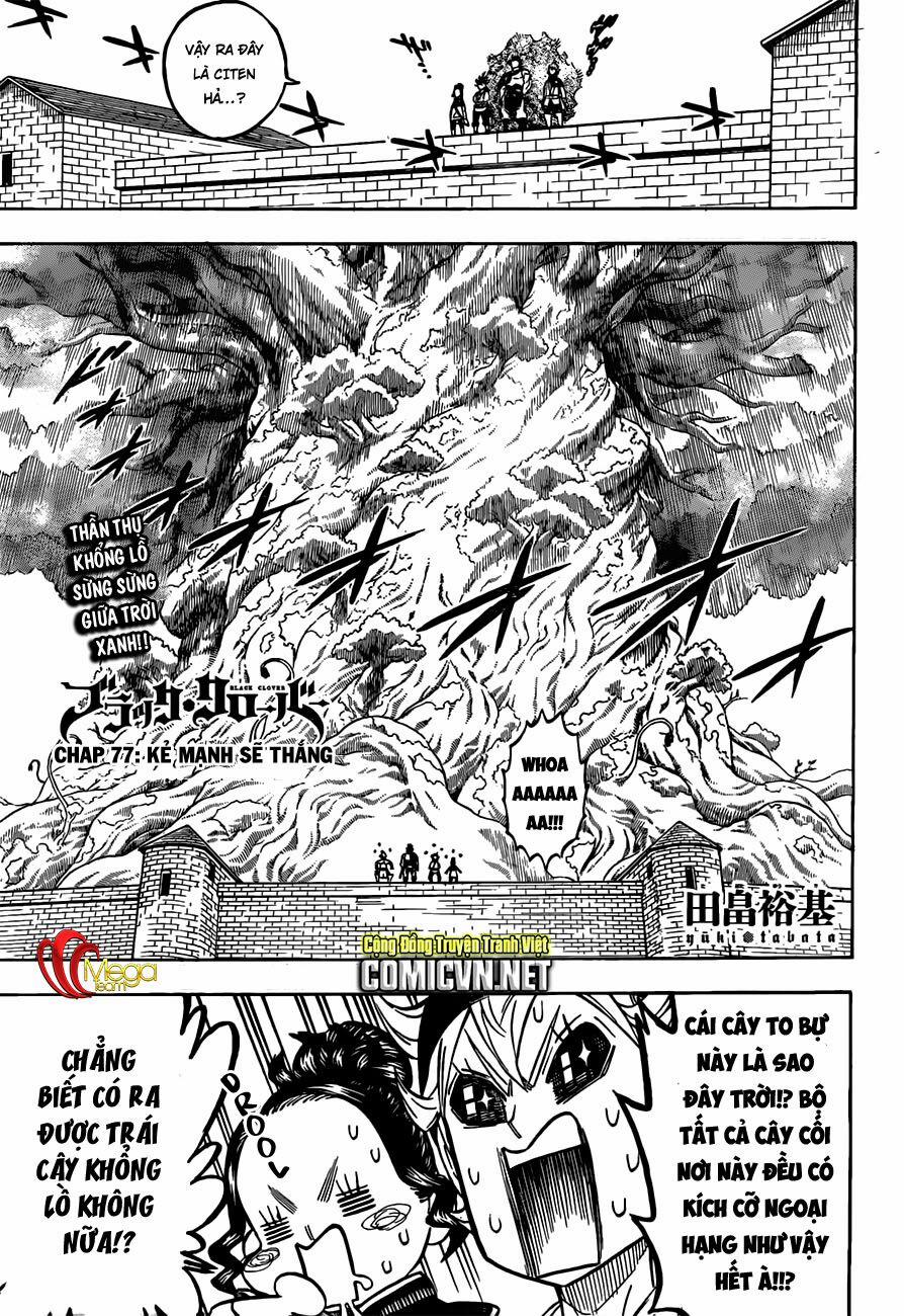 Black Clover – Pháp Sư Không Phép Thuật 77 trang 1